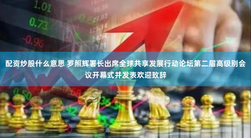 配资炒股什么意思 罗照辉署长出席全球共享发展行动论坛第二届高级别会议开幕式并发表欢迎致辞