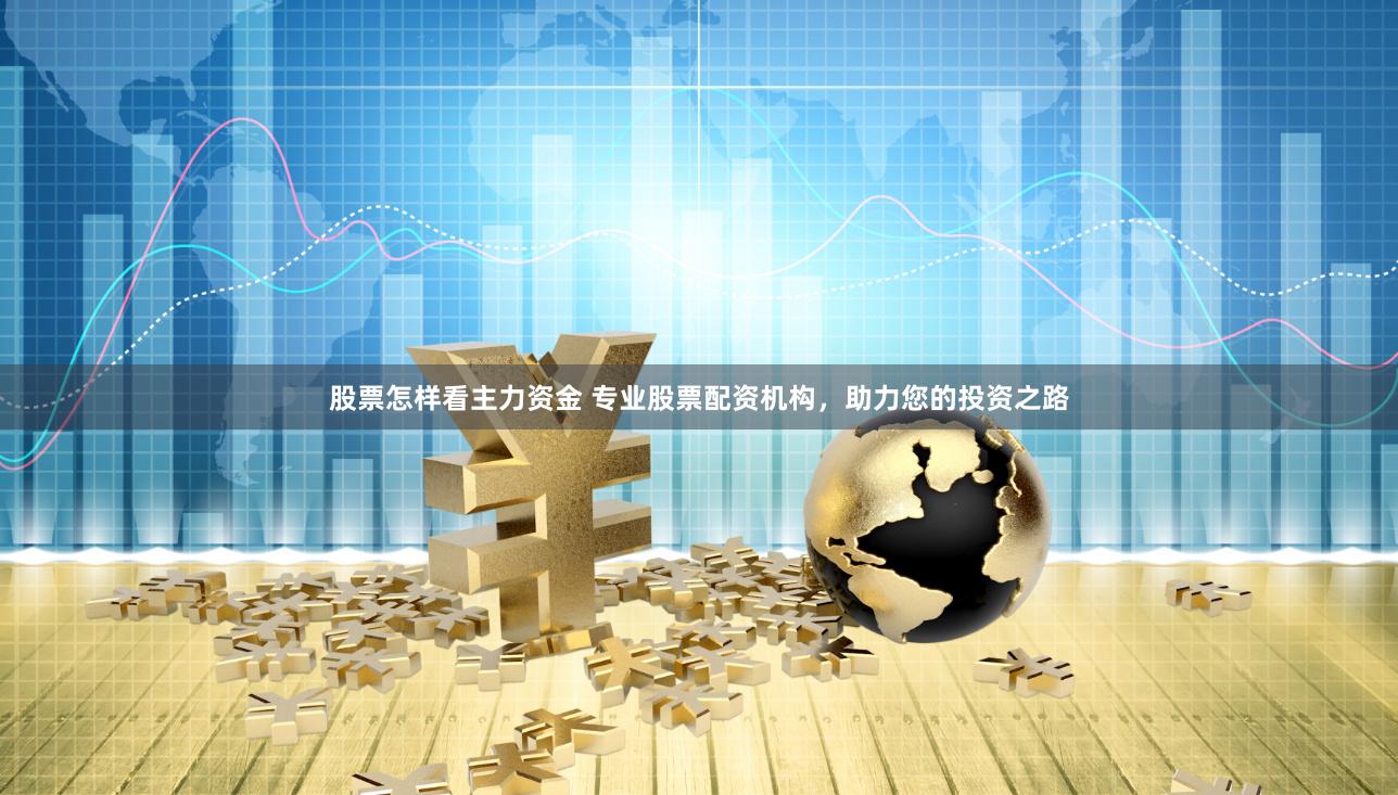 股票怎样看主力资金 专业股票配资机构，助力您的投资之路